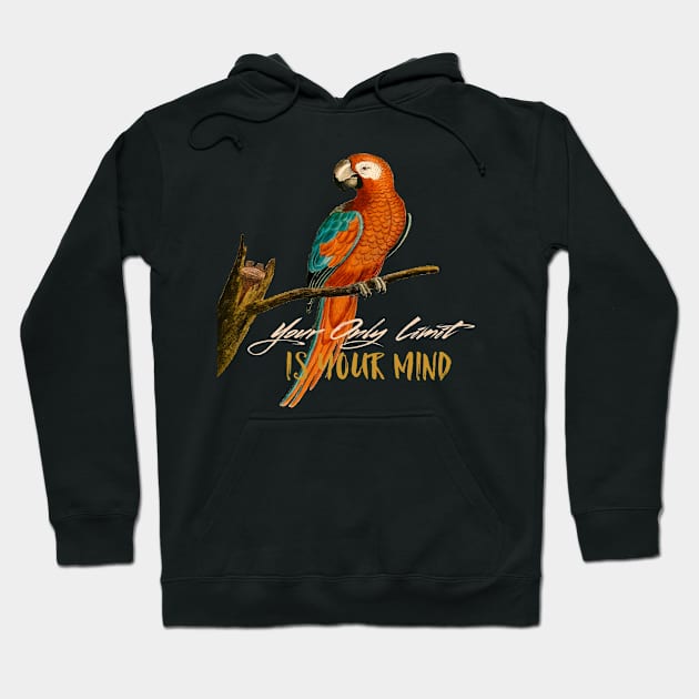 Motivational Parrot - Your Only Limit Is Your Mind - Parrot Hoodie by Animal Specials